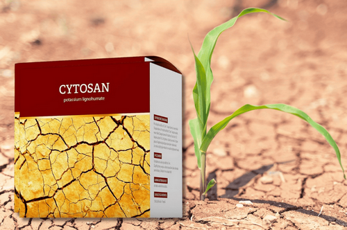 Energy Cytosan
